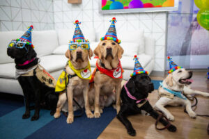 dog party