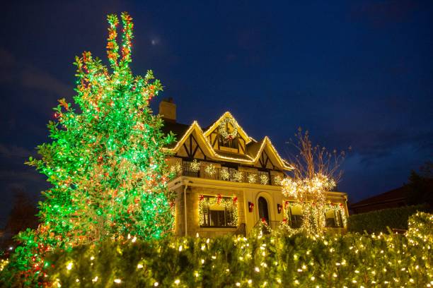 How Much Do Christmas Lights Raise Your Electric Bill