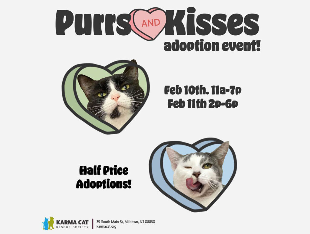 Purrs & Kisses adoption event.